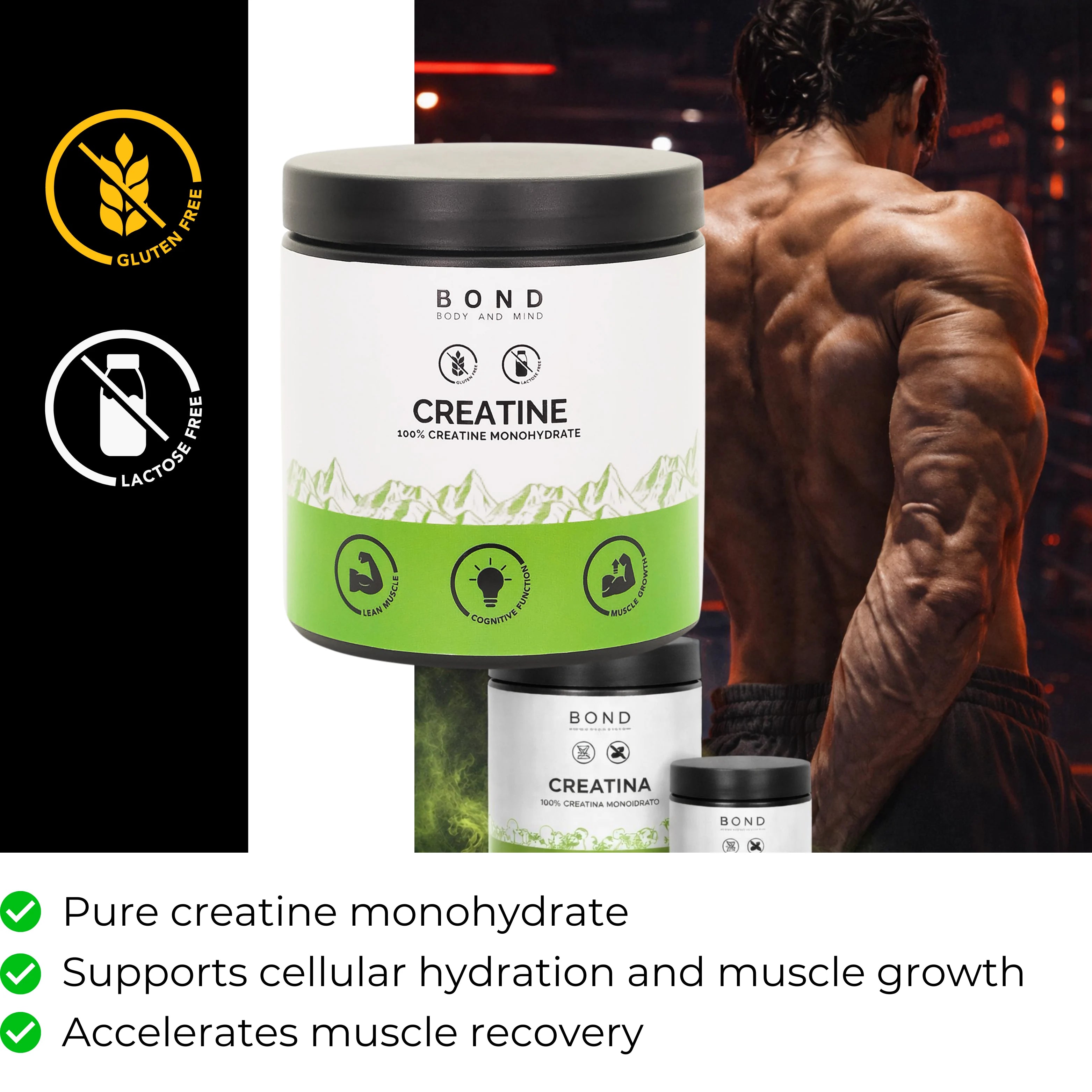 Creatine Monohydrate – BOND SUPPLEMENTS