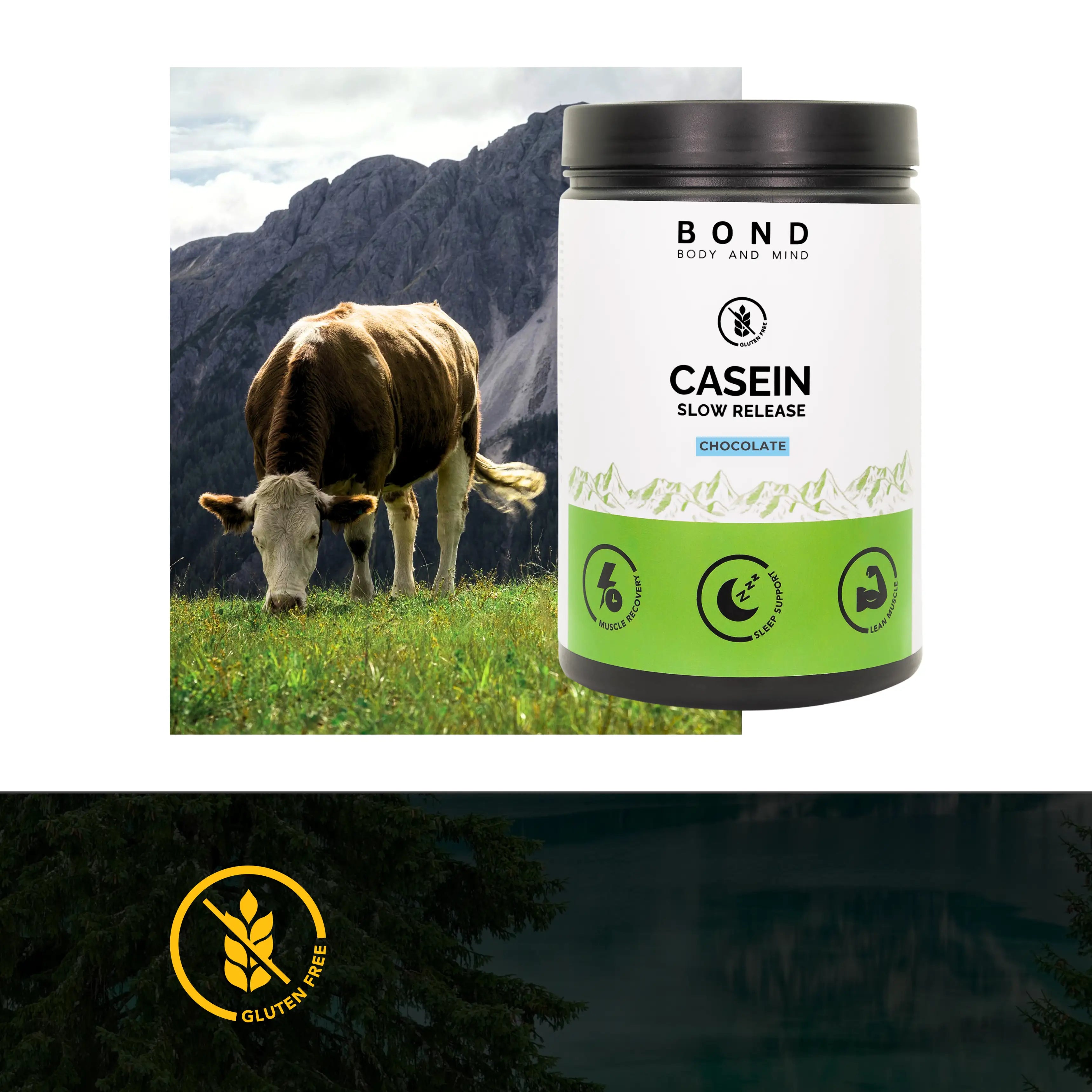 Casein Protein