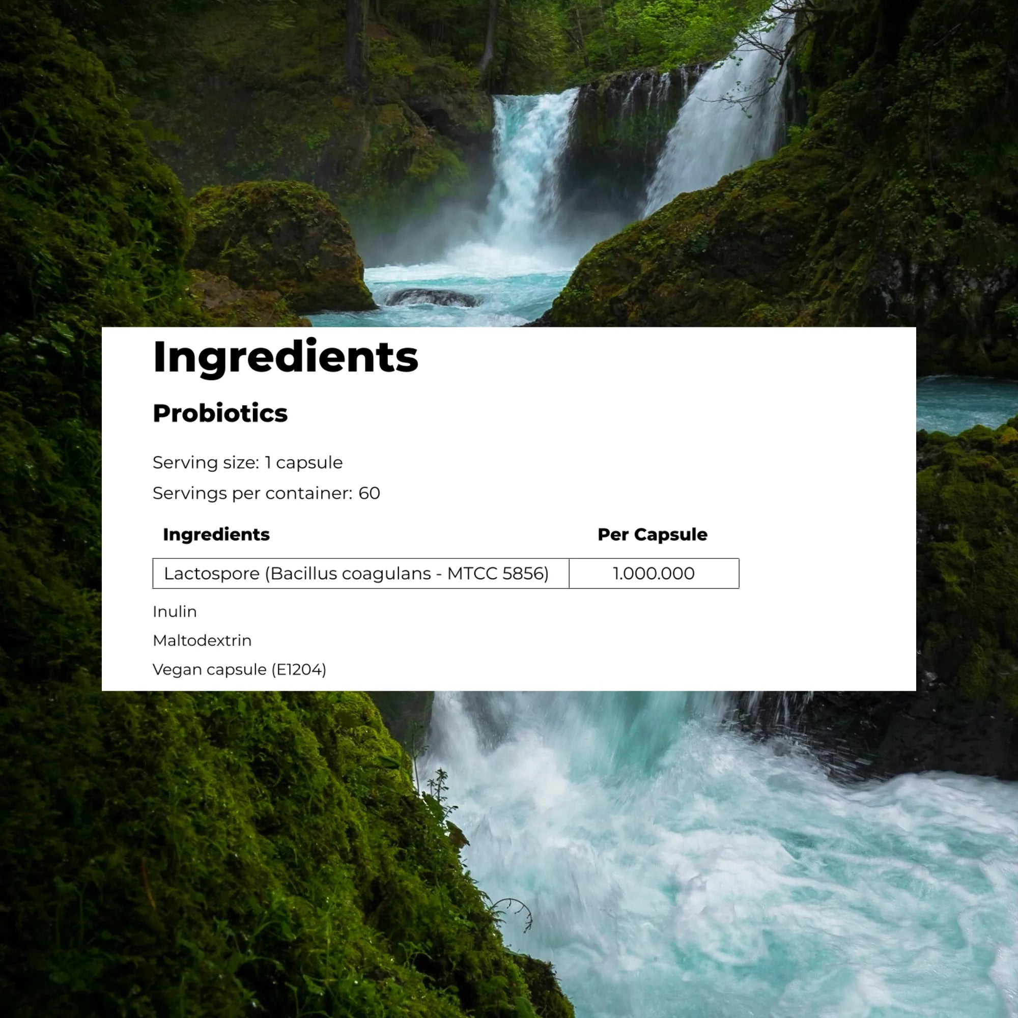 Probiotics