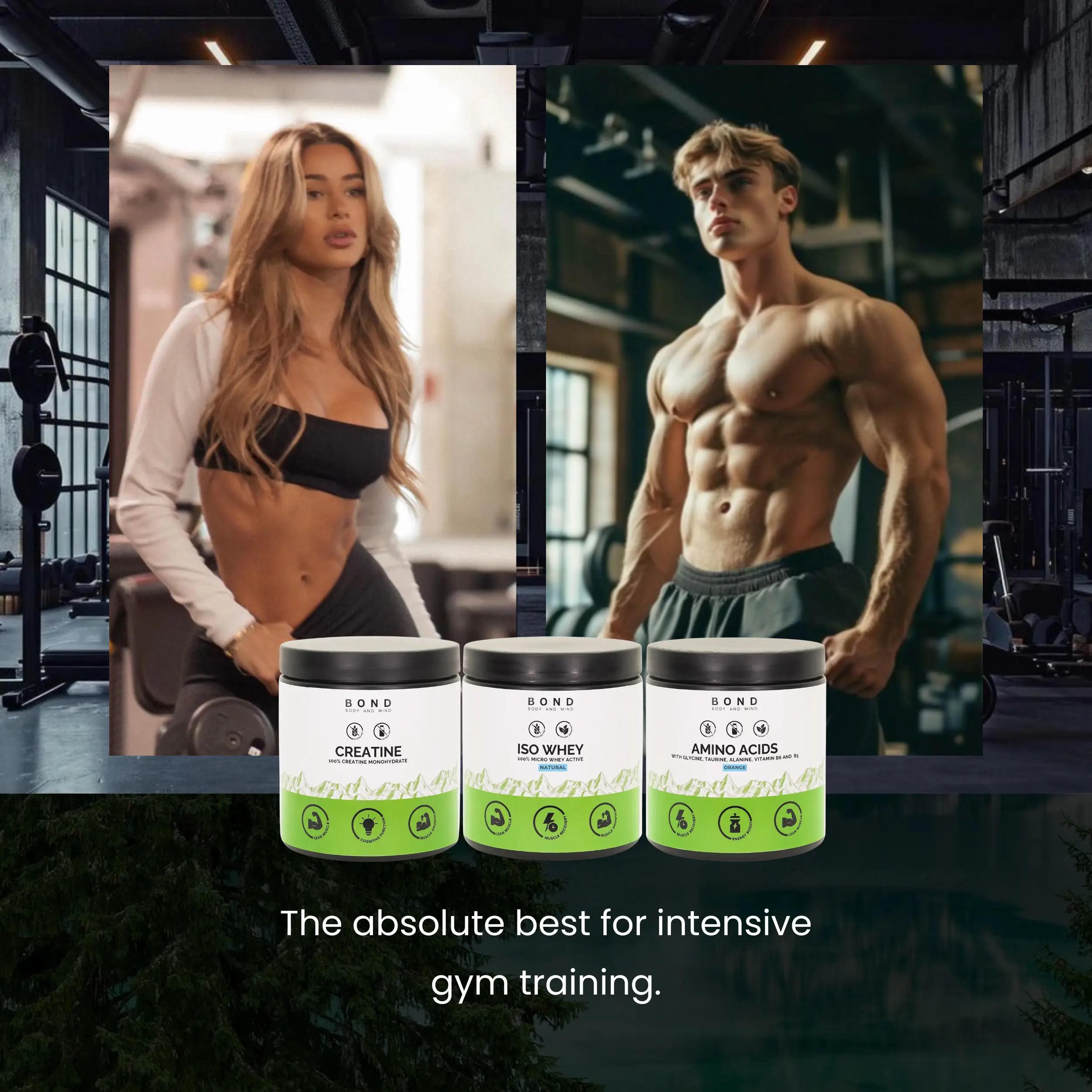 Gym Bundle