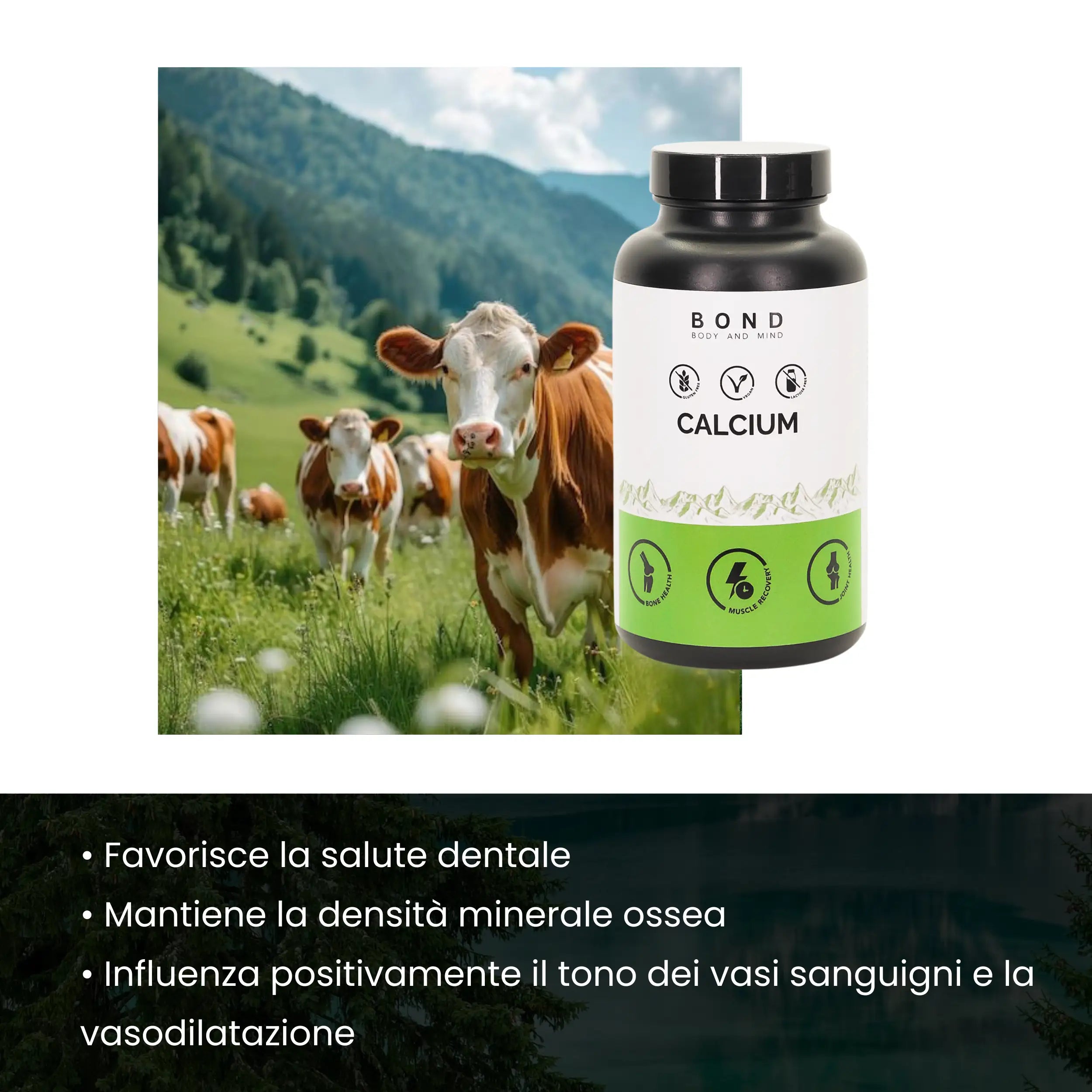 ly_benefits_it_calcium_1744815330.webp
