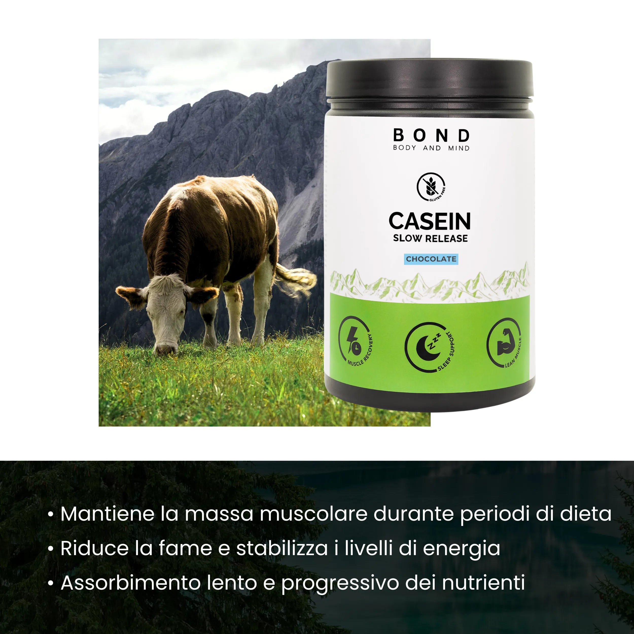 ly_casein_benefits_it_1744207074.webp